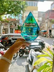 Cúp Pickleball – Kim Cương Tỏa Sáng