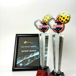 Cúp Pickleball Đỉnh Bóng Bay