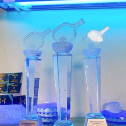 Cúp Pickleball thân trụ có bán cầu