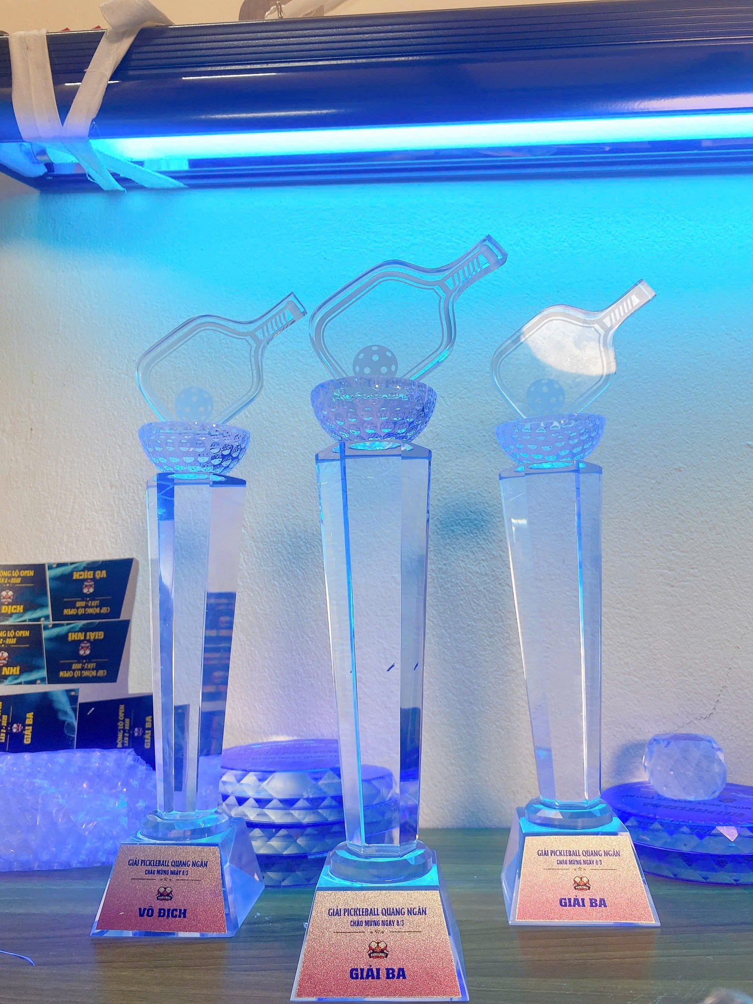 Cúp Pickleball thân trụ có bán cầu