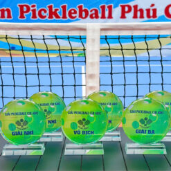Cúp Pha Lê Pickleball Dạng Tròn