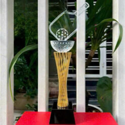 Cúp Pickleball Pha Lê Đế Xoắn Kim Loại Vàng Nửa Quả Cầu